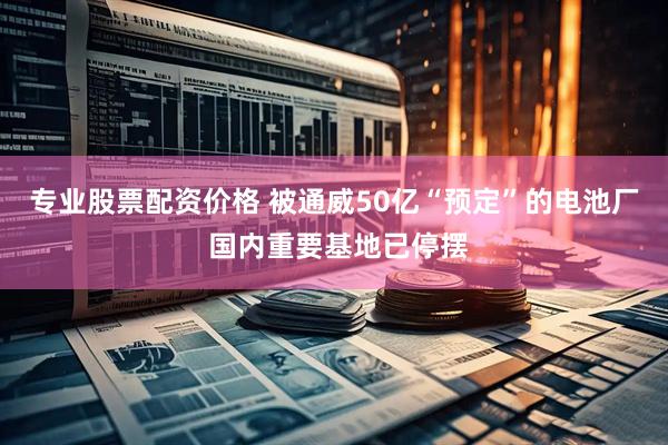 专业股票配资价格 被通威50亿“预定”的电池厂 国内重要基地已停摆