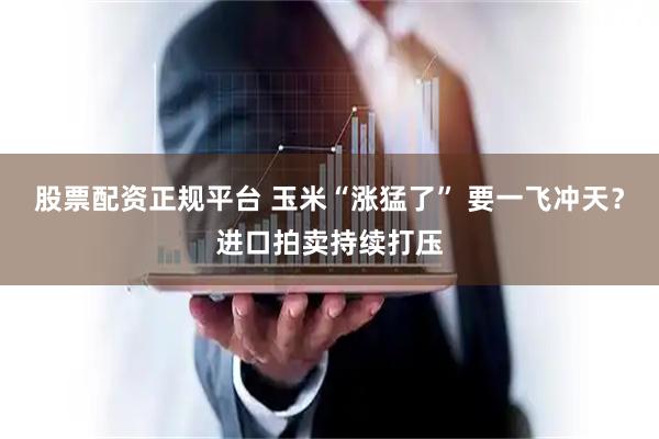 股票配资正规平台 玉米“涨猛了” 要一飞冲天？进口拍卖持续打压