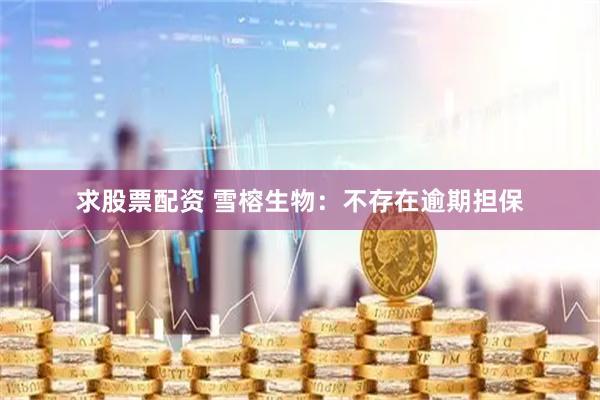 求股票配资 雪榕生物：不存在逾期担保