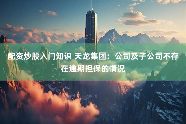 配资炒股入门知识 天龙集团：公司及子公司不存在逾期担保的情况