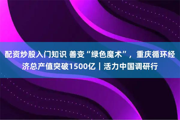 配资炒股入门知识 善变“绿色魔术”，重庆循环经济总产值突破1500亿｜活力中国调研行