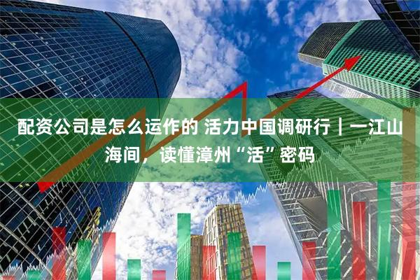 配资公司是怎么运作的 活力中国调研行｜一江山海间，读懂漳州“活”密码
